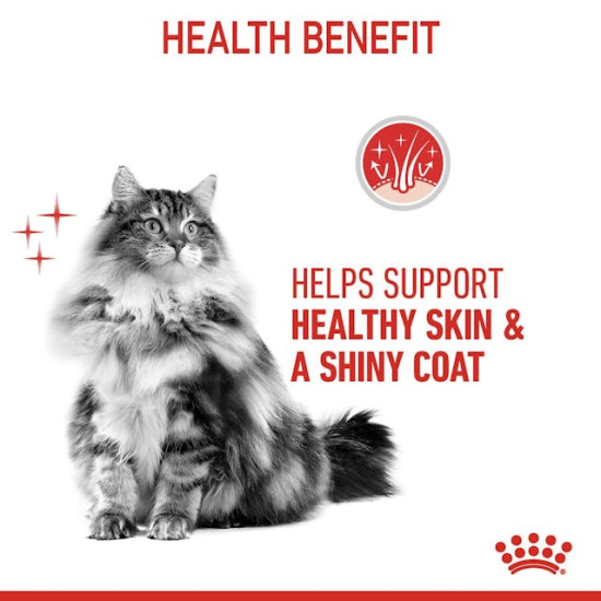 Royal Canin Hair & Skin Care – Hrană Uscată pentru Pisici Adulte – 400 g
